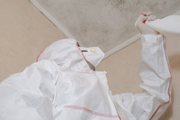 Best Toxic Mold Removal  in Oxon Hill, MD